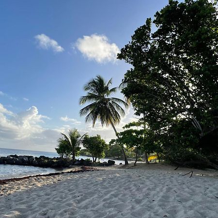 Villa Caraibes Sainte-Luce Extérieur photo
