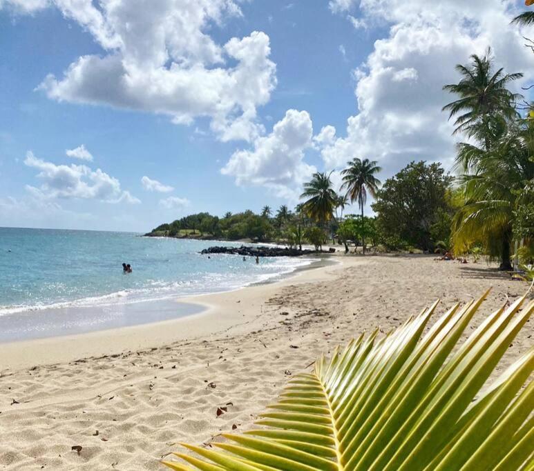 Villa Caraibes Sainte-Luce Extérieur photo