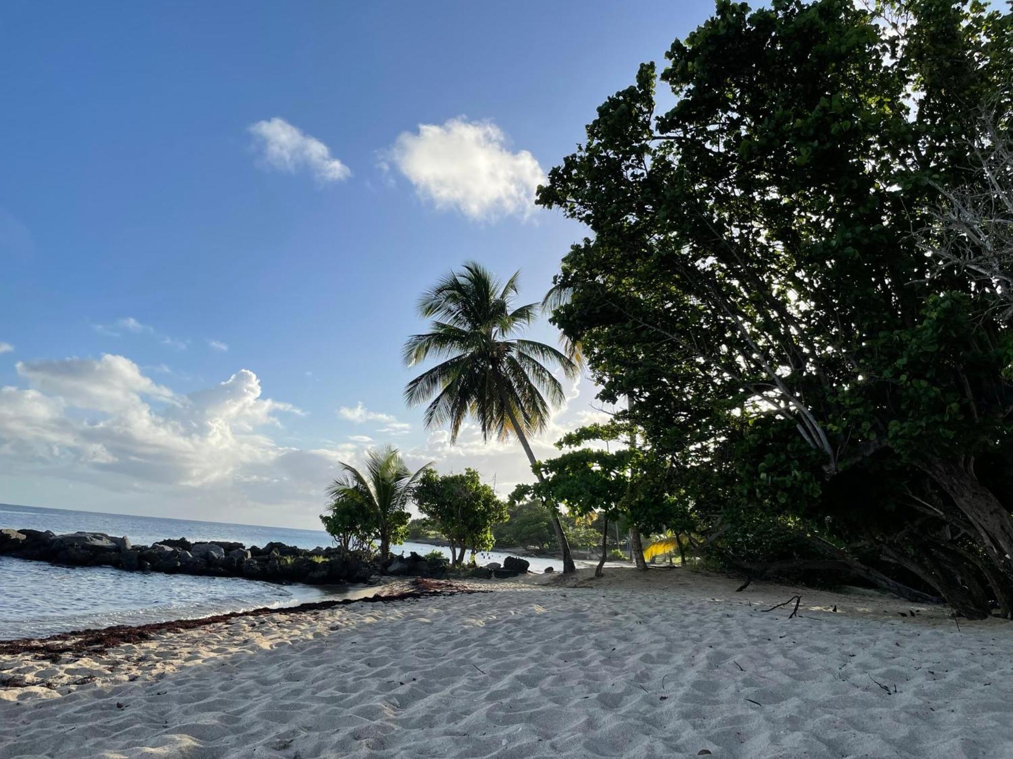 Villa Caraibes Sainte-Luce Extérieur photo